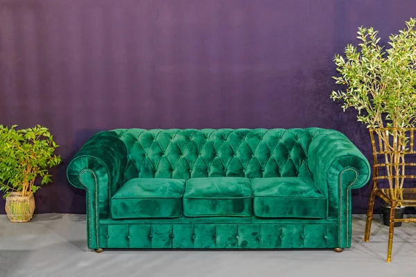 リビングルームで大きな緑のぬいぐるみ繊維ソファ — ストック写真