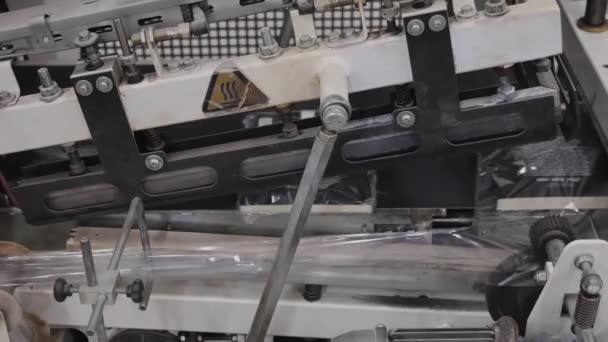 真空パッキングブック印刷生産プロセス梱包機 — ストック動画