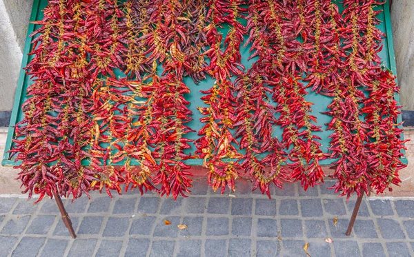 Dry Red Hot Chili Hungarian Peppers Strings Sale — стокове фото