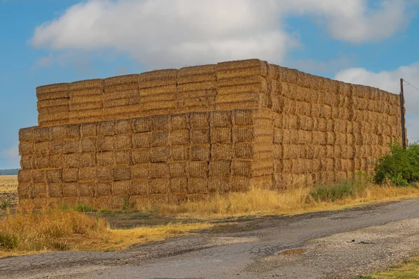 传统Bale正方形大堆传统耕作法 — 图库照片