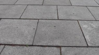 Belgrad, Sırbistan - 23 Ekim 2021: Avala Dağı 'nın tepesindeki Meçhul Kahraman Anıtı.