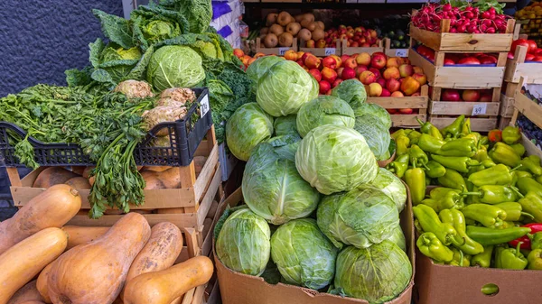 stock image Fresh Cabbages Kale Celeriac Squash Green Peppers Vegetables Produce