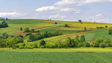 Yeşil Tepeler Kırsal Sırbistan 'da Bahar Manzarasında Güzel Gün