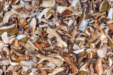 Toptan Gıda Arkaplanında Kurutulmuş Porcini Boletus Mantarı