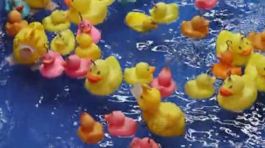 Havuz Parkı Oyununda Balık Lastik Ördekler