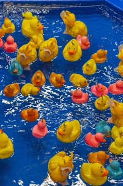 Havuz Parkı Oyununda Balık Lastik Ördekler