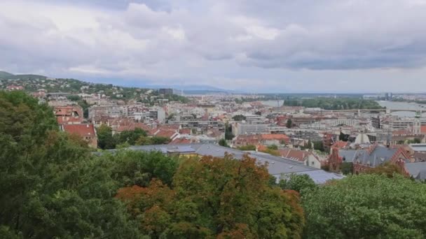 Budapest Hungary July 2022 North View Margit Sziget Island Middle — Stok video