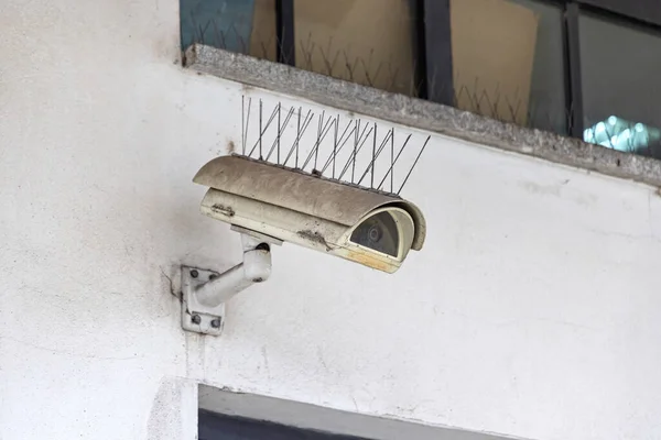 Video Surveillance Cctv Camera With Bird Control Spikes