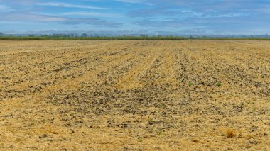 Empty Agriculture Farm Field After Harvest Summer Day