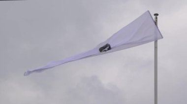 Belgrad, Sırbistan - 27 Nisan 2022: Tırtıl Standı İnşaat Malzemeleri Fuarında Kedi Bayrakları.