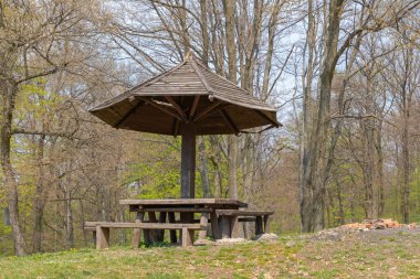 Picnic Table With Wooden Parasol in Deciduous Forest