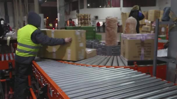 Shipping Packages Boxes Parcels Sorting Conveyers Warehouse Logistics — Stockvideo