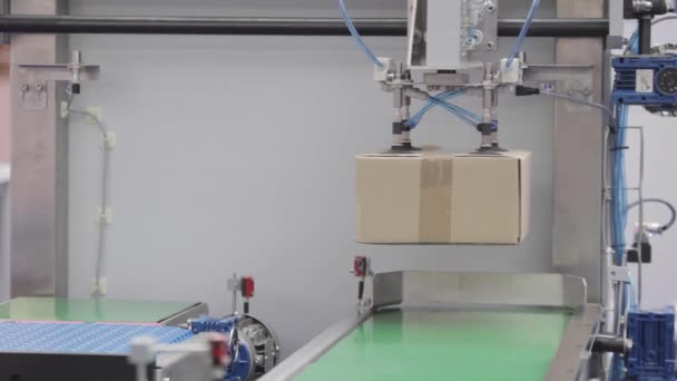 Automated Vacuum Suction Arms Picking Package Box Conveyor — Stockvideo
