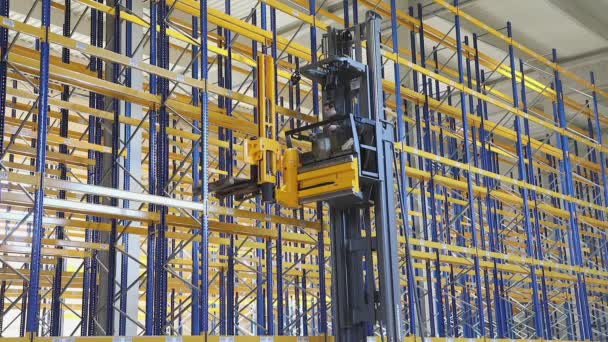 High Rack Forklift Stacker Empty Shelving System Warehouse — Vídeo de stock