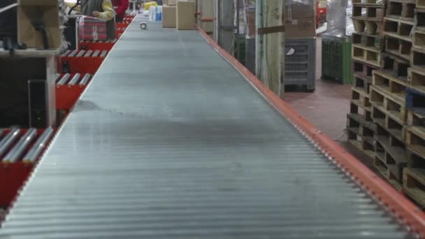 Packages Parcels Boxes Conveyer Belt Distribution Warehouse Shipping Delivery — Video