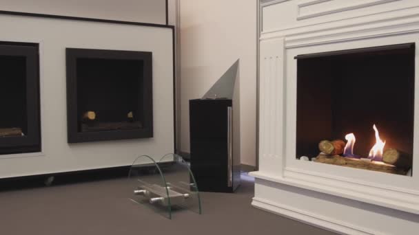 Chimeneas Eléctricas Gas Alcohol Para Hogar Clásico Interior Showroom Panorama — Vídeos de Stock