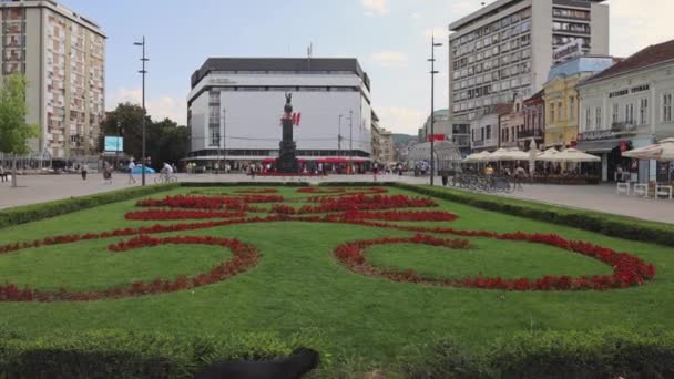 Nis Serbie Août 2022 Chien Noir Errant Jardin Floral Place — Video