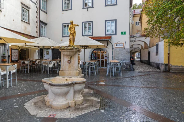 Lublaň Slovinsko Listopadu 2019 Zlatá Fontána Ribjiho Náměstí Hlavním Městě — Stock fotografie