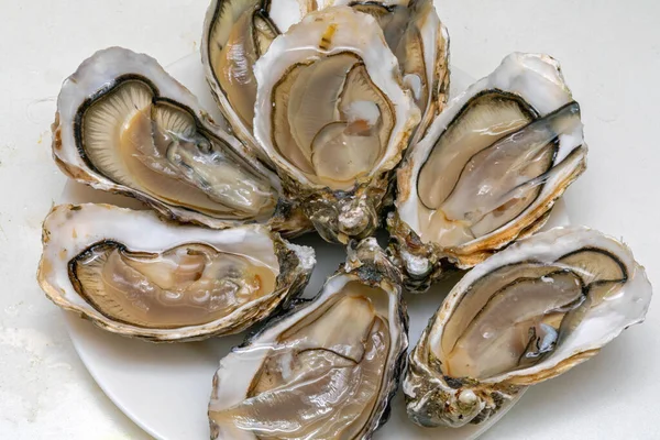 Σερβίρεται Open Fresh Oysters Θαλασσινά Στο Tray — Φωτογραφία Αρχείου