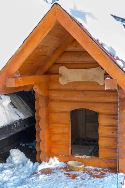 Große Hund Holz Blockhaus Hütte Unter Schnee Wintersaison — Stockfoto