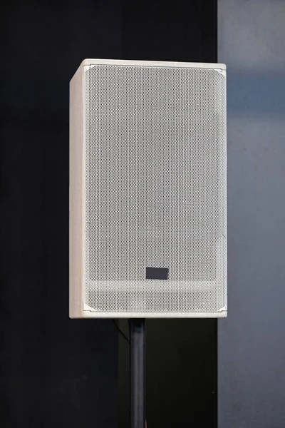 One Audio Speaker White Mesh Pole Disco Club — Stock fotografie