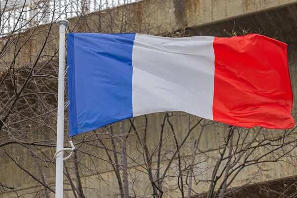 Nationalflagge Der Republik Frankreich Vor Betongebäude — Stockfoto