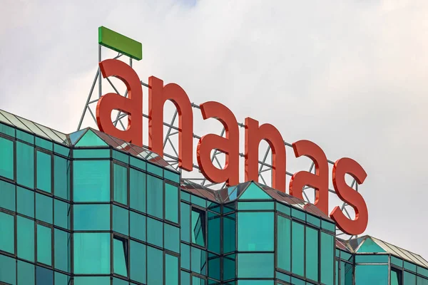 Belgrád Szerbia 2023 Április Commerce Company Sign Ananas Top Office — Stock Fotó