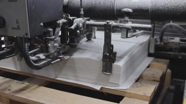 Vel Gevoed Papier Pallet Input Start Offset Printing Machine Proces — Stockvideo