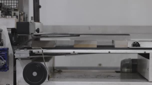 Moving Books Conveyor Belt Vacuum Packaging Foil Machine — Stock Video