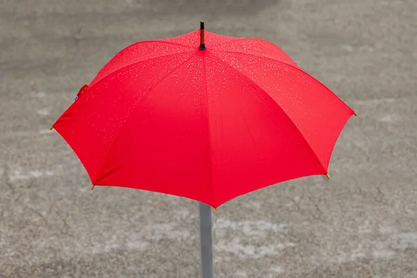 Ярко Красный Цвет Зонтик Открыт День Дождя — стоковое фото