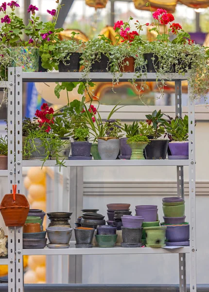 售卖花园中心植物的吊挂花盆 — 图库照片