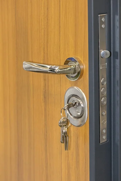 High Security Home Front Door Double Locks — Stock Photo, Image