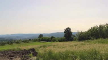 Yeşil Doğa Manzarası Kırsal Sırbistan Güneşli Bahar Günü Panoraması