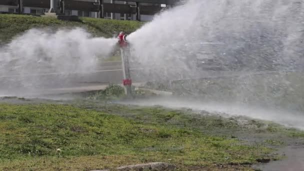 Розбитий Пожежний Гідрант Розливає Воду Парках Затоплює Вулицю — стокове відео