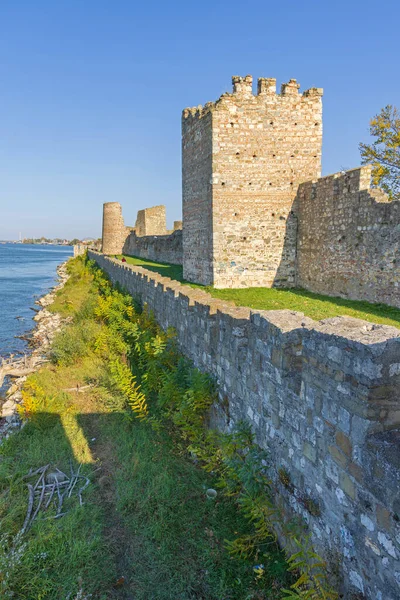 Смедерево Сербия Октября 2021 Года Руины Крепости Средневековые Стены Берегу — стоковое фото