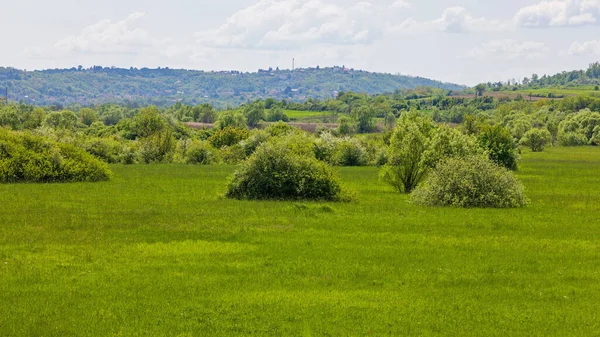 Green Nature Landscape Spring Day Balkans — стокове фото