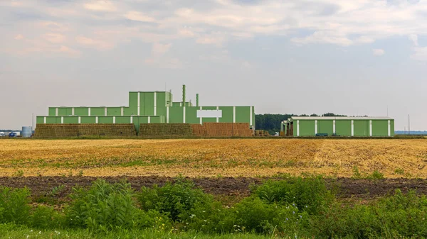 Landwirtschaftliches Gebäude Moderne Nutztierhaltung Von Milchrindern — Stockfoto