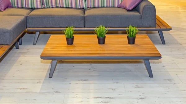 現代リビングルームの木製コーヒーテーブルの植物 — ストック写真