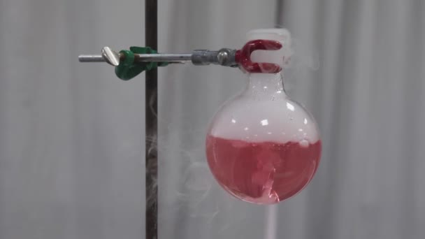 Experimento Frasco Rojo Hielo Seco Proyecto Ciencias Escuela Laboratorio — Vídeos de Stock