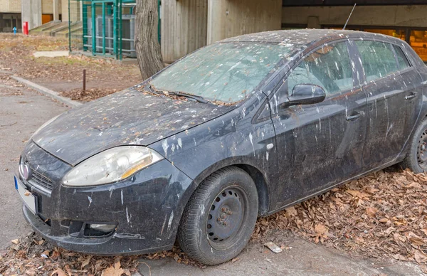 Vogelkot Unter Baum Abgestelltem Auto Verursacht Lackschäden — Stockfoto