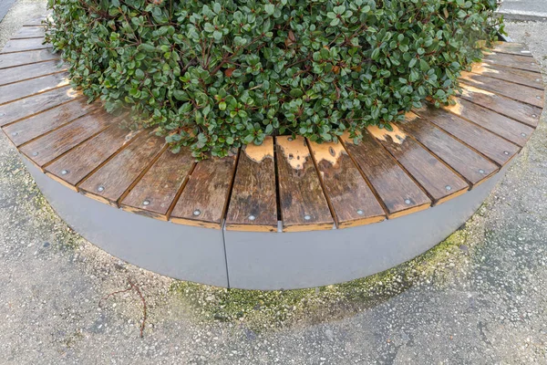 Runde Holzbank Mit Großem Blumentopf Auf Der Straße Italien — Stockfoto