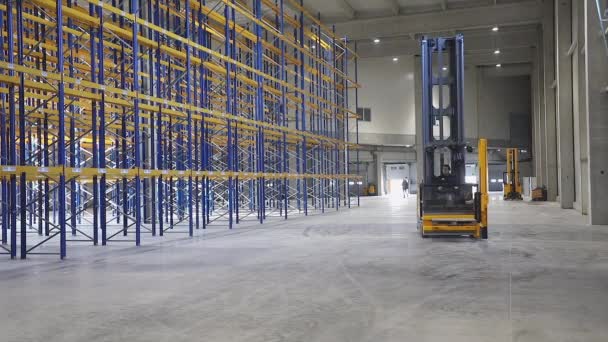 High Rack Forklift Stacker New Warehouse Empty Racks — Stock Video