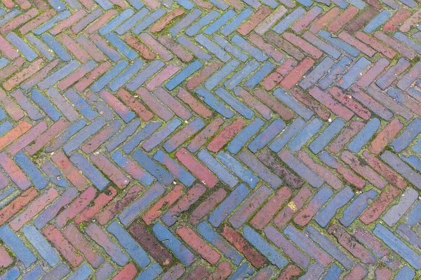 Fishbone Pattern Mattoni Pavimento Old Street Amsterdam — Foto Stock