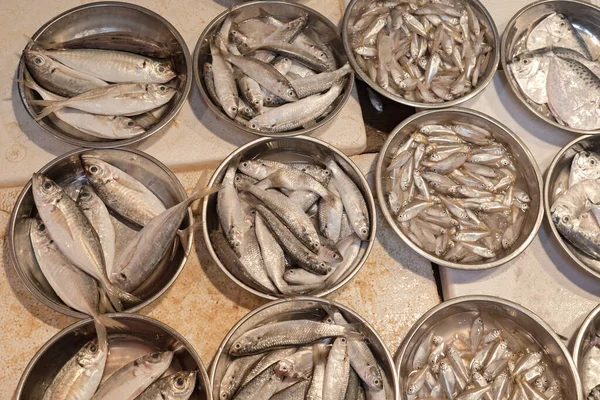 Fresh Fish Catch Trays Asian Market — Stock Photo, Image