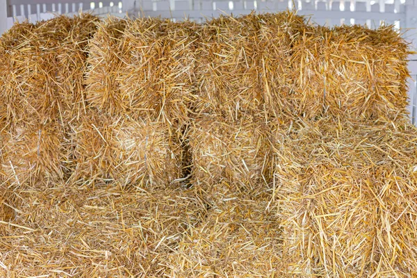 Suchá Sláma Balíky Skladování Krmiva Pro Zvířata Farmě — Stock fotografie