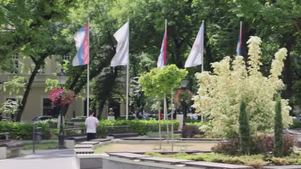 セルビアのスボティツァ 2022年8月1日 自由広場の水と記念碑のランドマークなしの円形噴水都市パノラマの暑い夏の日 — ストック動画