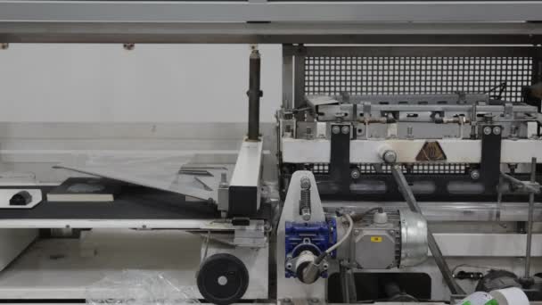 Vakuum Pack Bøger Print Process Produktion Conveyor Bælte Packaging Machine – Stock-video
