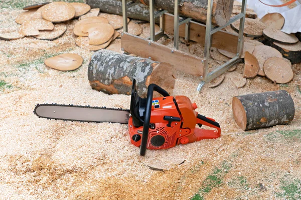 Petrol Power Chainsaw Cutting Wood Logs Lumberjack Equipment Sawdust — Stock Photo, Image