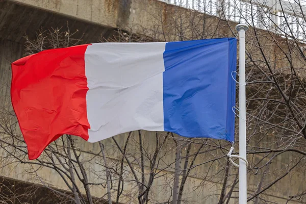Trikolore Flagge Der Republik Frankreich Vor Betongebäude — Stockfoto