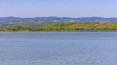 Pavlovac Gölü Fruska Gora Dağı Sırasıyla Övgüler Sırbistan Yaz Günü